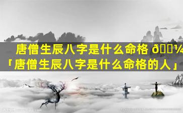 唐僧生辰八字是什么命格 🌼 「唐僧生辰八字是什么命格的人」